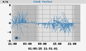 Wind Vector